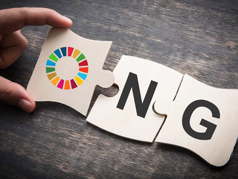 Las ONGs más activas del Perú y cómo colaborar con ellas